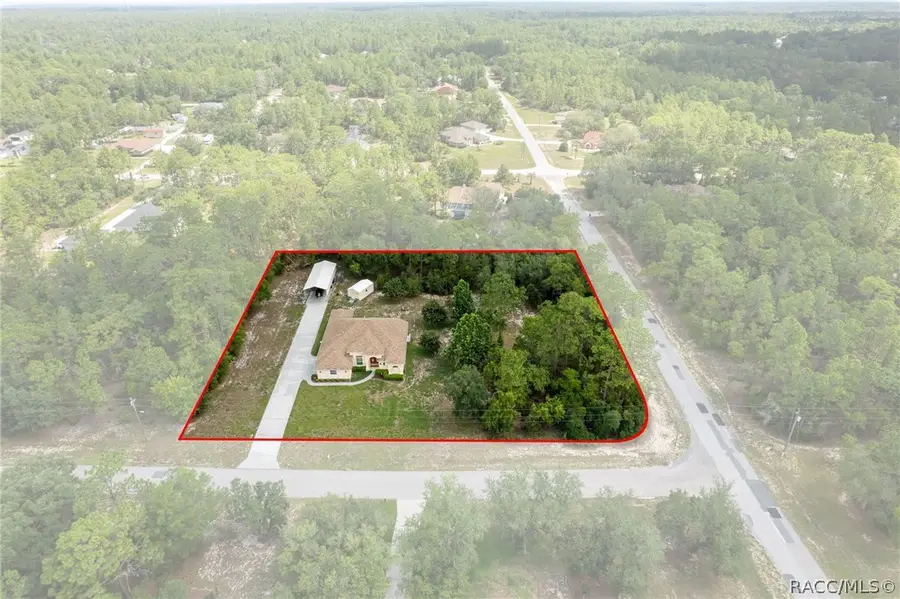 4081 W Roundup Court, Beverly Hills, FL 34465 - #2