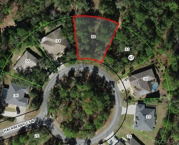 10 Hackberry Court N, Homosassa, FL 34446 - #1