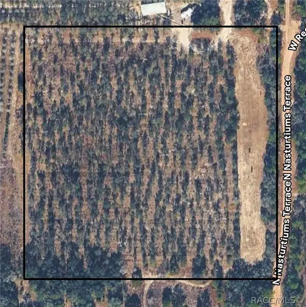 8308 N Nasturtiums Terrace, Dunnellon, FL 34433