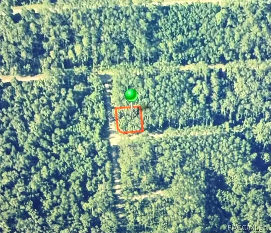 1124 Vercelli Lane, Citrus Springs, FL 34434 - #2