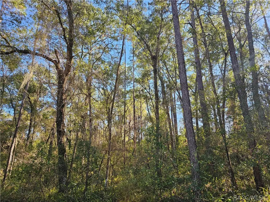 6342 E Glover Street, Inverness, FL 34452 - #1