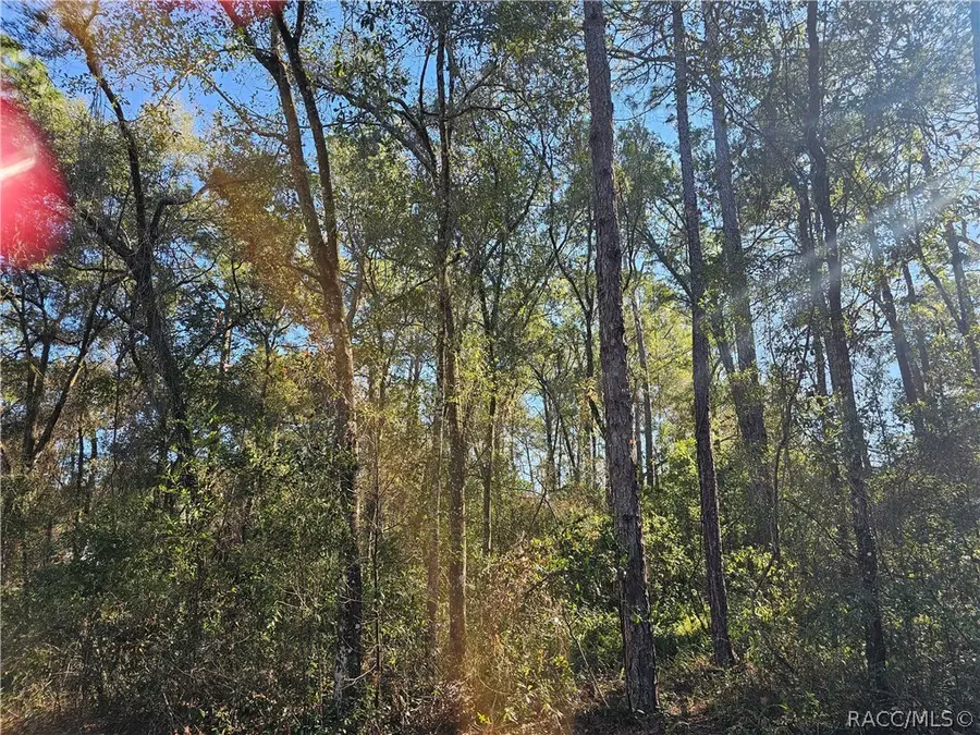 6342 E Glover Street, Inverness, FL 34452 - #2