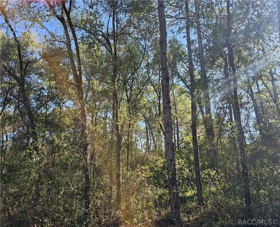 6342 E Glover Street, Inverness, FL 34452 - #3
