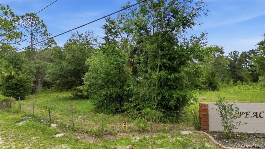 0000 Hwy 40 East, Dunnellon, FL 34431 - #3
