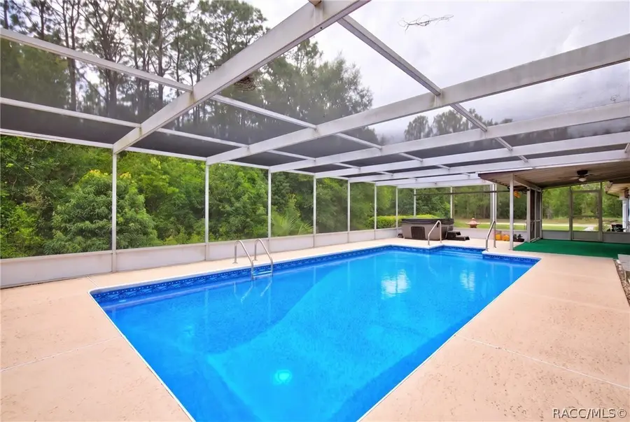 10848 N Dragonis Drive, Citrus Springs, FL 34433 - #2