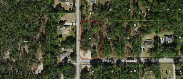 1935 W Tacoma Street, Hernando, FL 34442