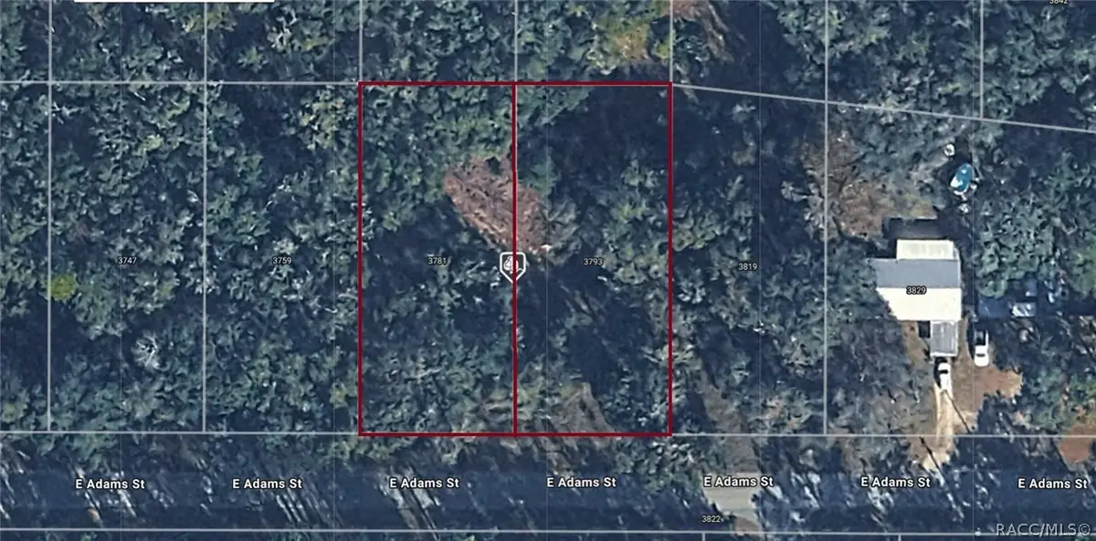 3793 & 3781 E Adams Street, Hernando, FL 34442 - #1