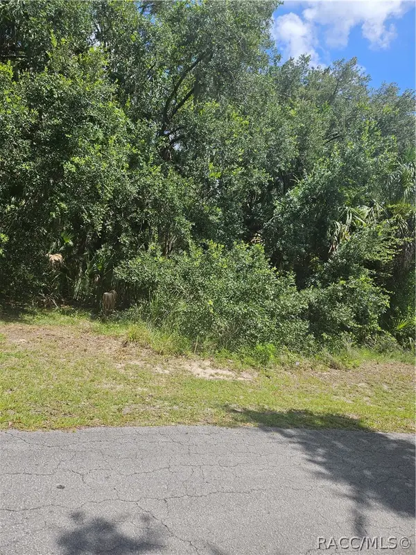 60 S Camellia Avenue, Crystal River, FL 34429