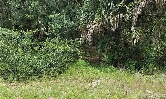 60 S Camellia Avenue, Crystal River, FL 34429 - #2