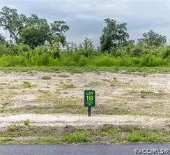1459 Oxford Preserve Trail, Oxford, FL 34484