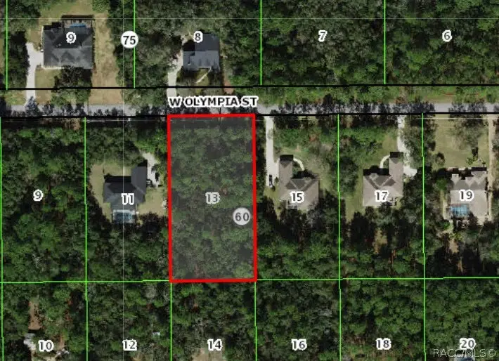 1304 W Olympia Street, Hernando, FL 34442 - #1