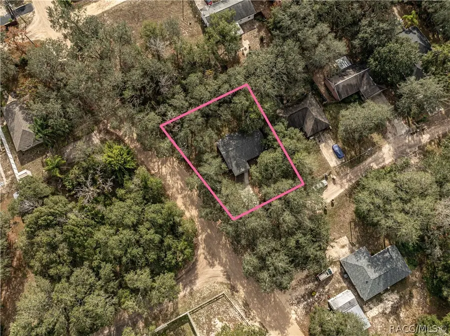 4438 Calamondin Street, Lady Lake, FL 32159 - #3
