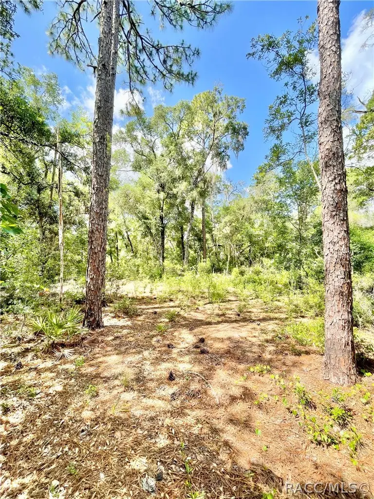 10719 E Tree Lane, Inverness, FL 34450 - #1