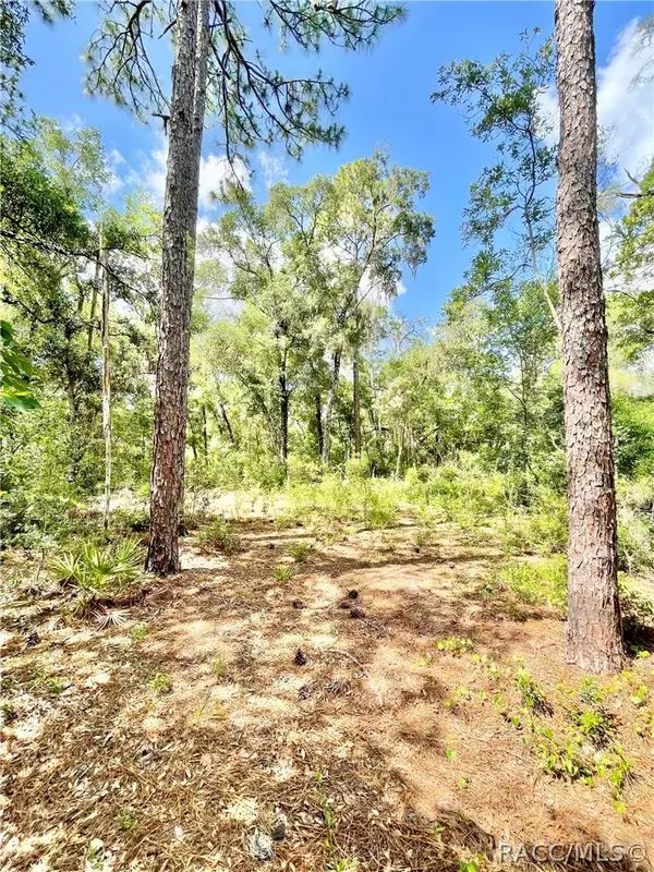 10719 E Tree Lane, Inverness, FL 34450