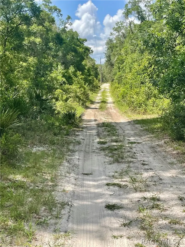 10719 E Tree Lane, Inverness, FL 34450 - #3