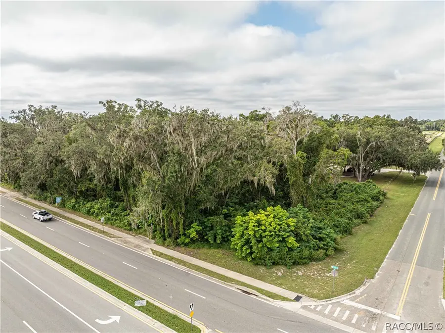 6974 Powell Road, Wildwood, FL 34785 - #2