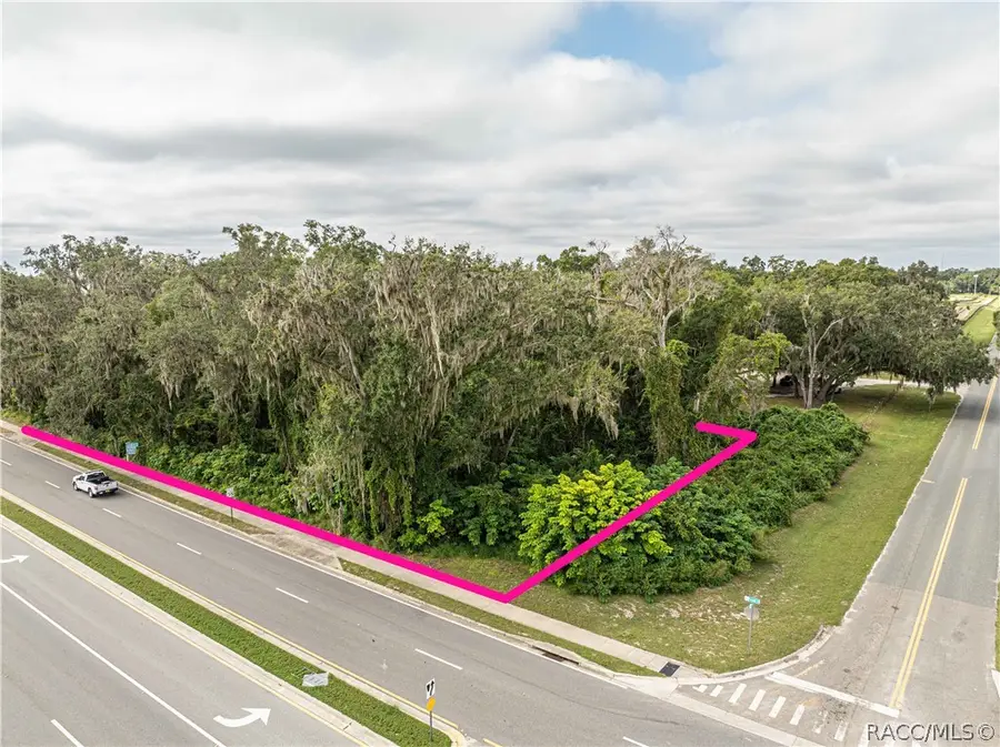 6974 Powell Road, Wildwood, FL 34785 - #3