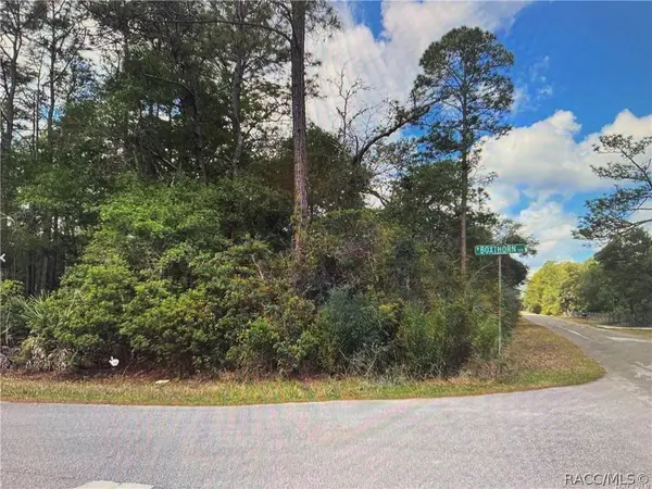9402 N Boxthorn Terrace, Crystal River, FL 34428