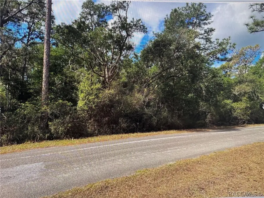 9402 N Boxthorn Terrace, Crystal River, FL 34428 - #2