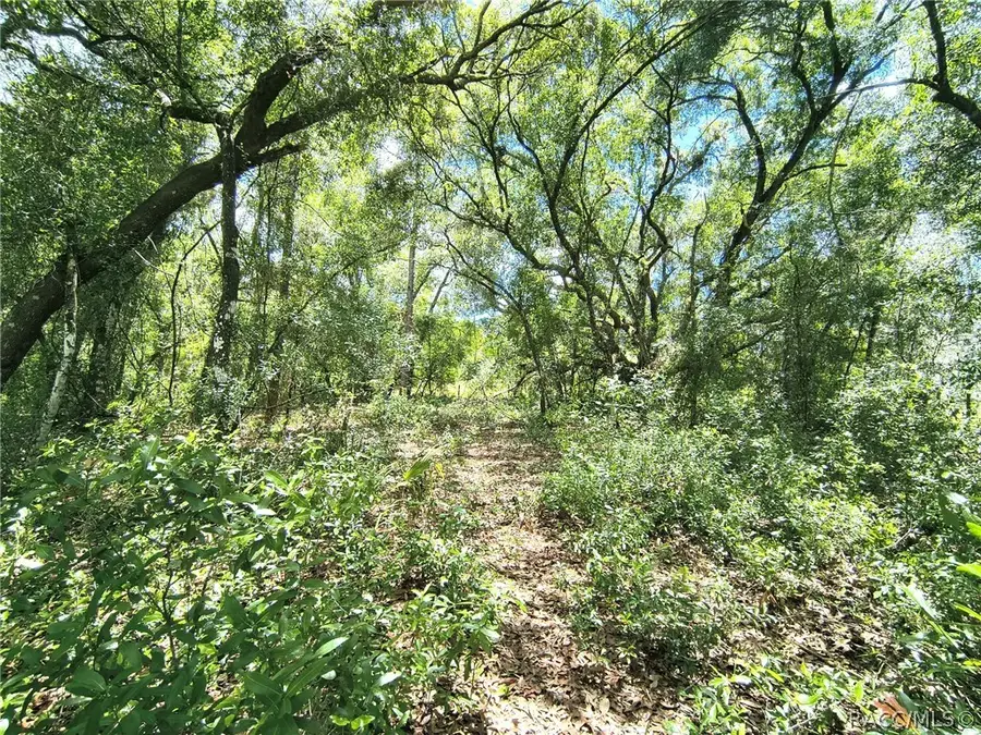 2774 S Suellen Terrace, Inverness, FL 34450 - #2