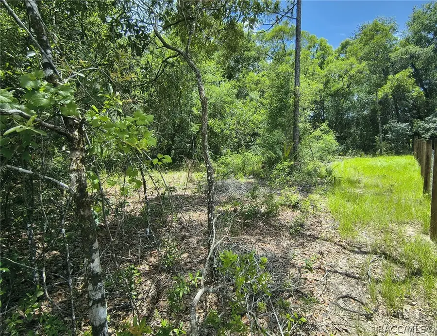 2774 S Suellen Terrace, Inverness, FL 34450 - #3
