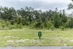 1417 Oxford Preserve Trail, Oxford, FL 34484 - #1