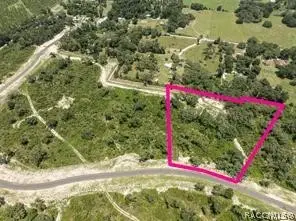 1417 Oxford Preserve Trail, Oxford, FL 34484 - #3