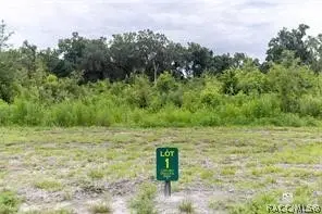 1480 Oxford Preserve Trail, Oxford, FL 34484 - #1