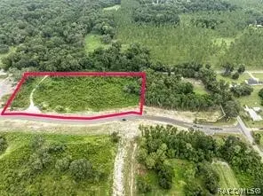 1480 Oxford Preserve Trail, Oxford, FL 34484 - #2