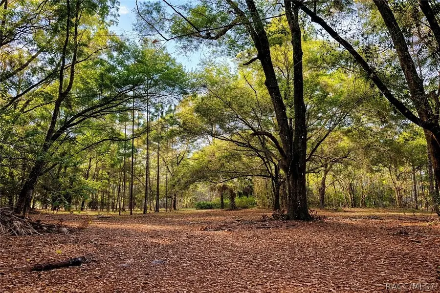 8248 E Fort Cooper Road, Inverness, FL 34450 - #3
