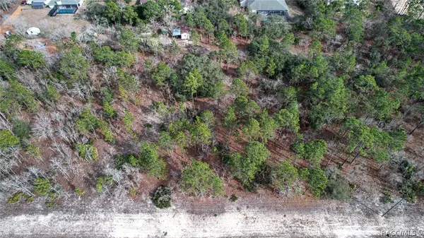 9188 N Tiffin Terrace, Dunnellon, FL 34434