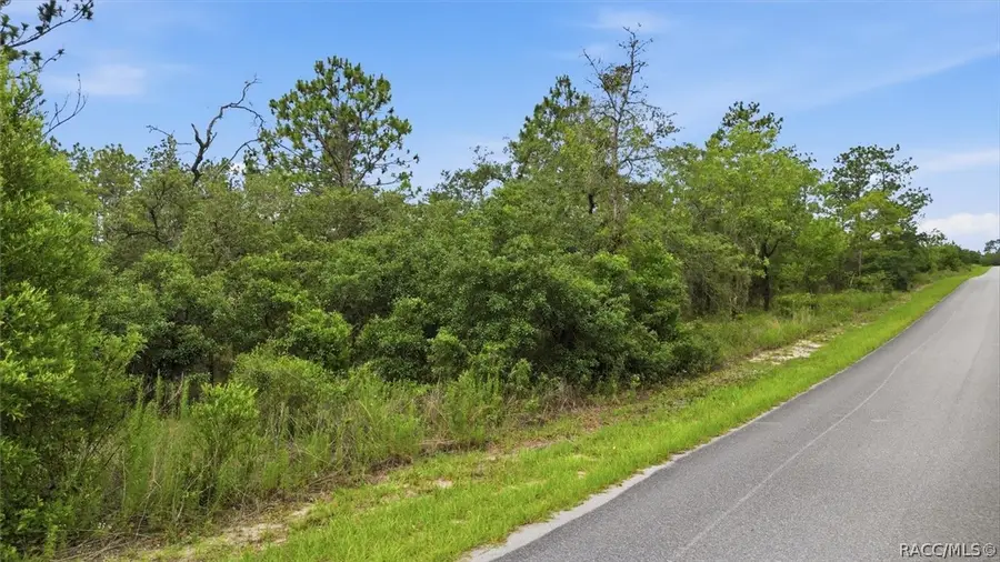 0000 Sw Plaza Court, Dunnellon, FL 34431 - #2