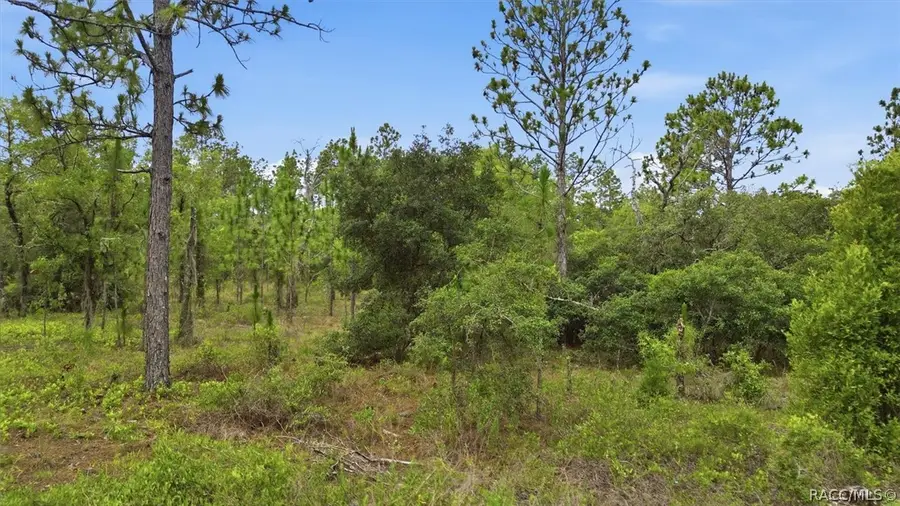0000 Sw Plaza Court, Dunnellon, FL 34431 - #3
