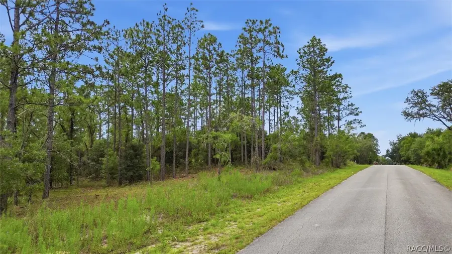 0000 Sw Sands Point Avenue, Dunnellon, FL 34431 - #2
