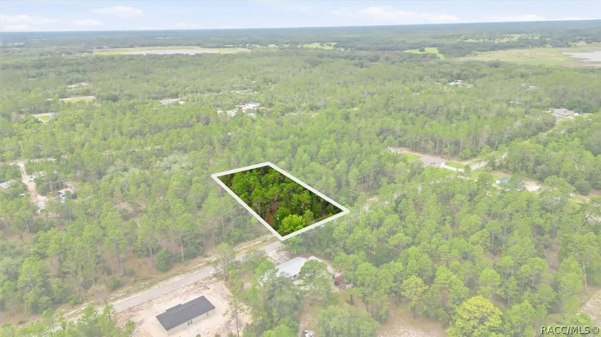 0000 Sw Beaver Drive, Dunnellon, FL 34431 - #1