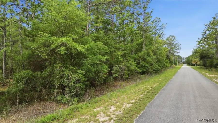 0000 Sw Beaver Drive, Dunnellon, FL 34431 - #2