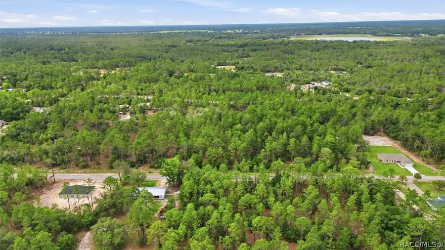 0000 Sw Beaver Drive, Dunnellon, FL 34431 - #3