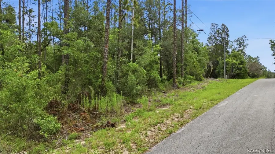 0000 Sw Nautilus Boulevard, Dunnellon, FL 34431 - #2