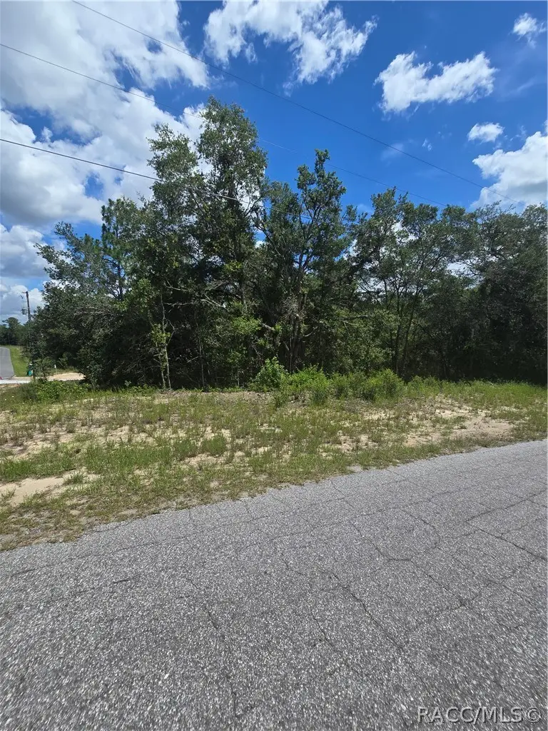 2485 W Braganza Street, Dunnellon, FL 34433 - #1