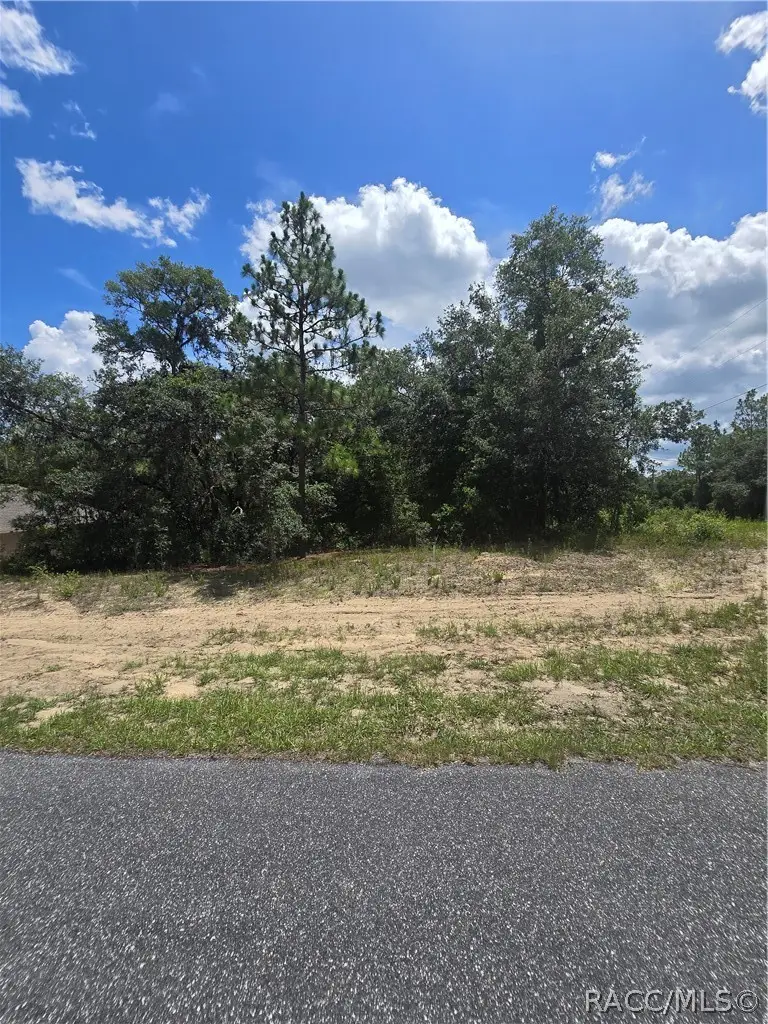 2485 W Braganza Street, Dunnellon, FL 34433 - #2