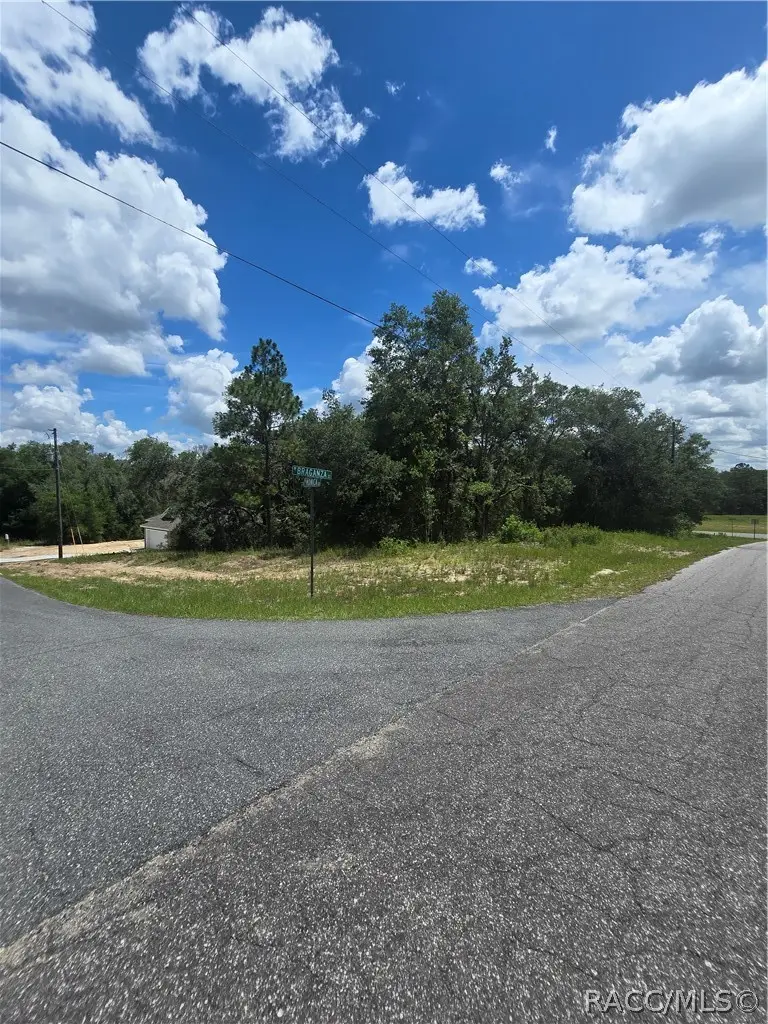 2485 W Braganza Street, Dunnellon, FL 34433 - #3