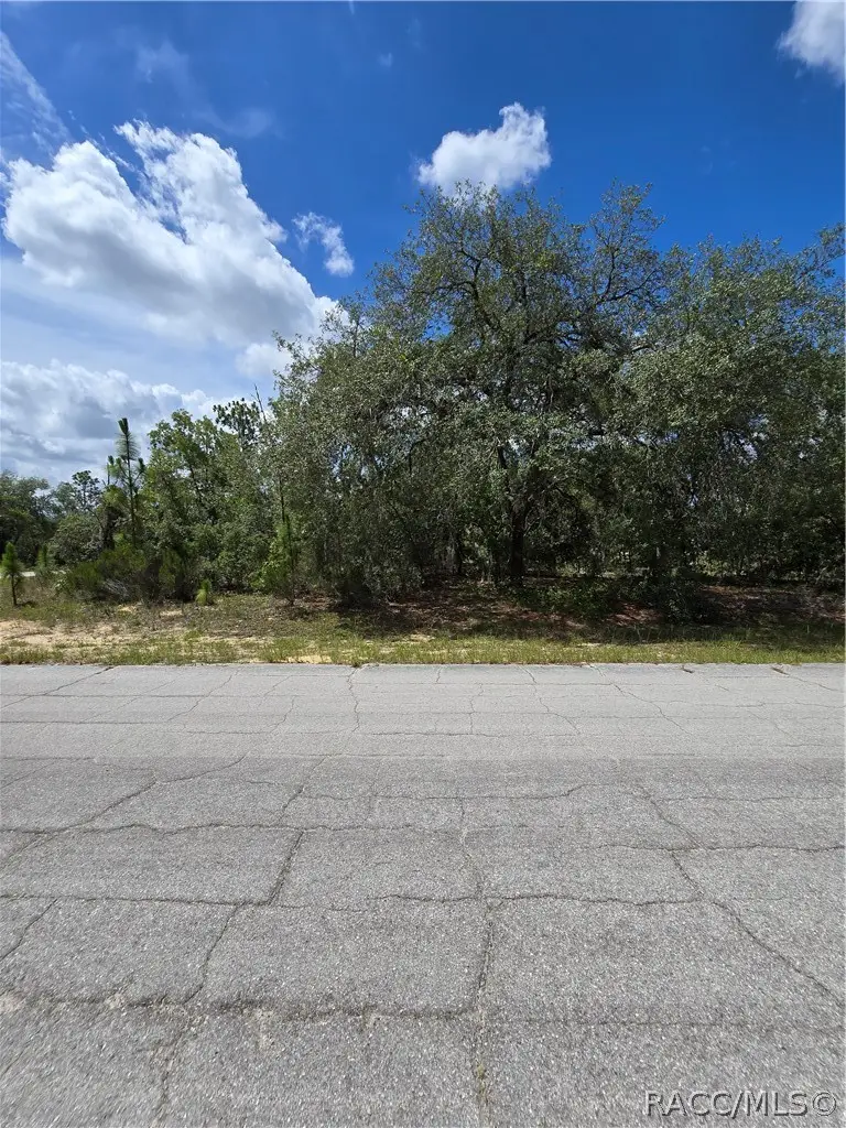 2942 W Dellwood Street, Dunnellon, FL 34433 - #3