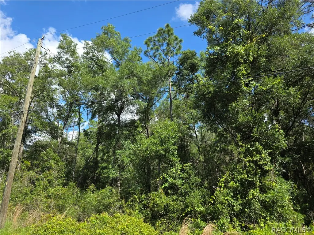 3669 E Baxley Place, Inverness, FL 34453 - #1