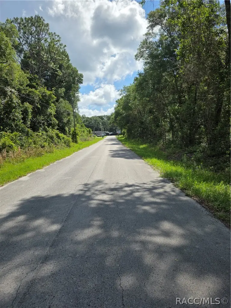 3669 E Baxley Place, Inverness, FL 34453 - #3