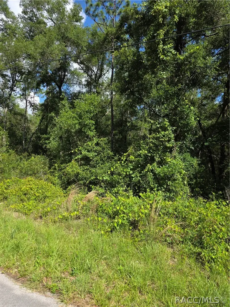 6301 E Quincy Street, Inverness, FL 34452 - #1