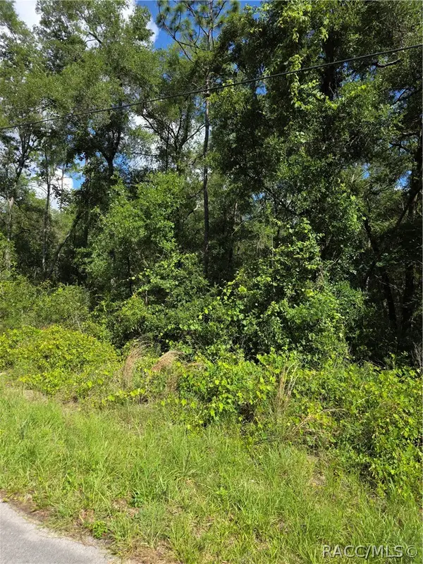 6301 E Quincy Street, Inverness, FL 34452
