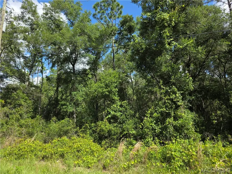 6301 E Quincy Street, Inverness, FL 34452 - #2