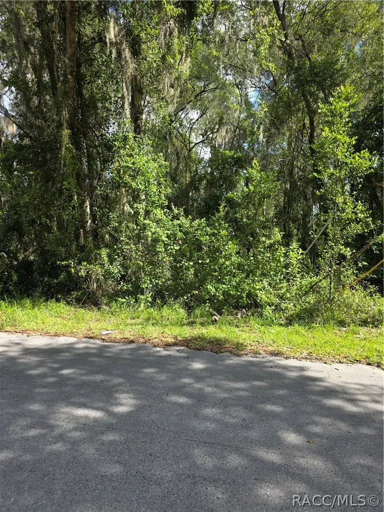 6301 E Quincy Street, Inverness, FL 34452 - #3
