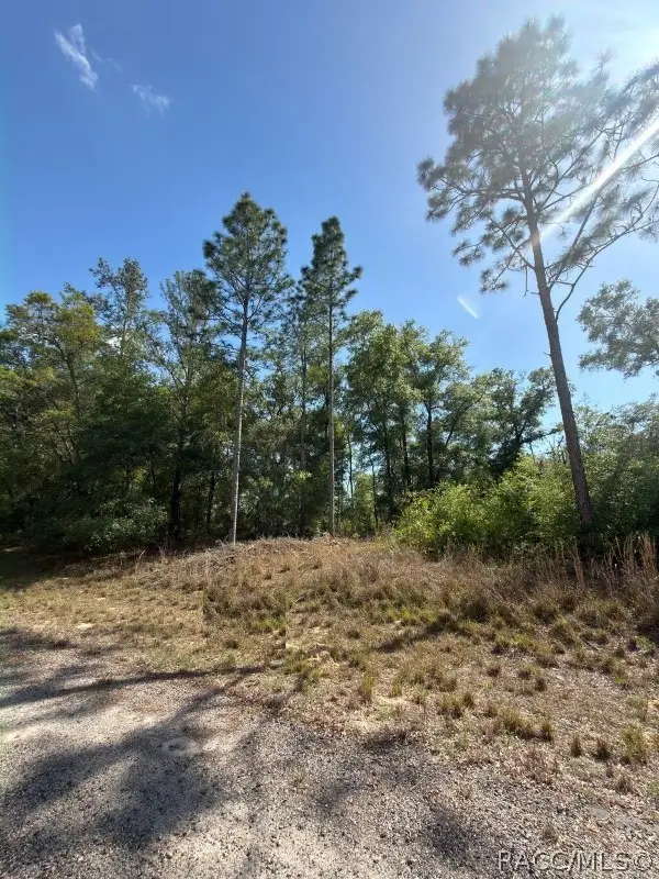 684 E Toledo Drive, Citrus Springs, FL 34434