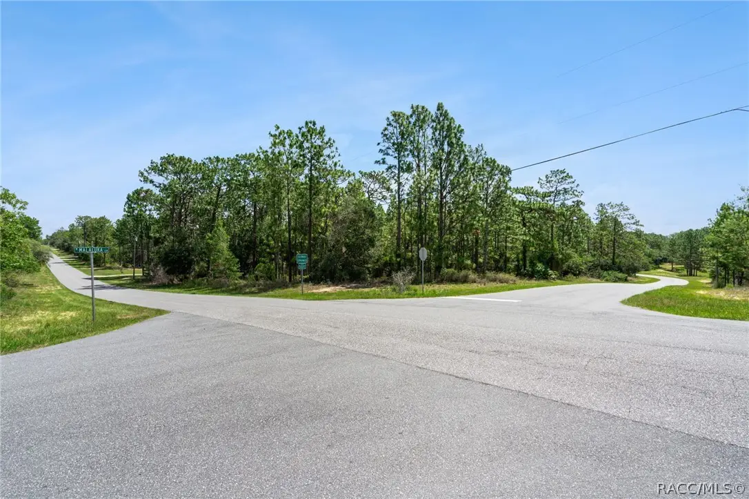 4181 W Malaluka Circle, Citrus Springs, FL 34433 - #1